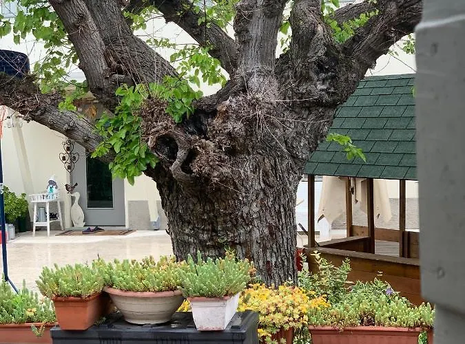 Pille Bed & Breakfast