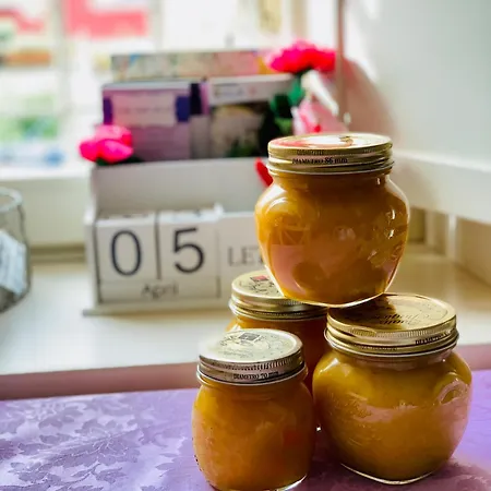 Pille Nocleg ze śniadaniem