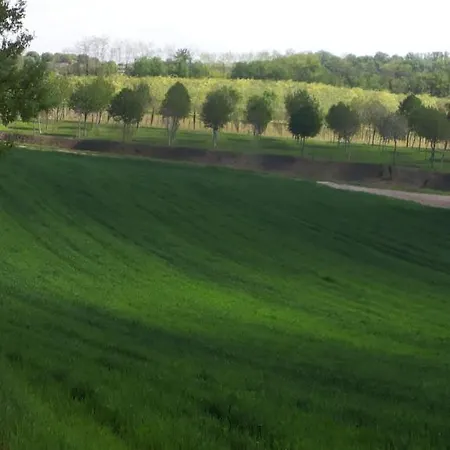 Bed & Breakfast Pille Monzambano